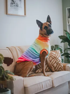 Pride Rainbow Sleeveless Dog Jumper