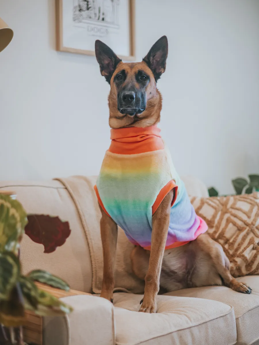 Pride Rainbow Sleeveless Dog Jumper