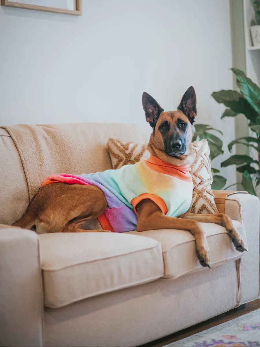 Pride Rainbow Sleeveless Dog Jumper