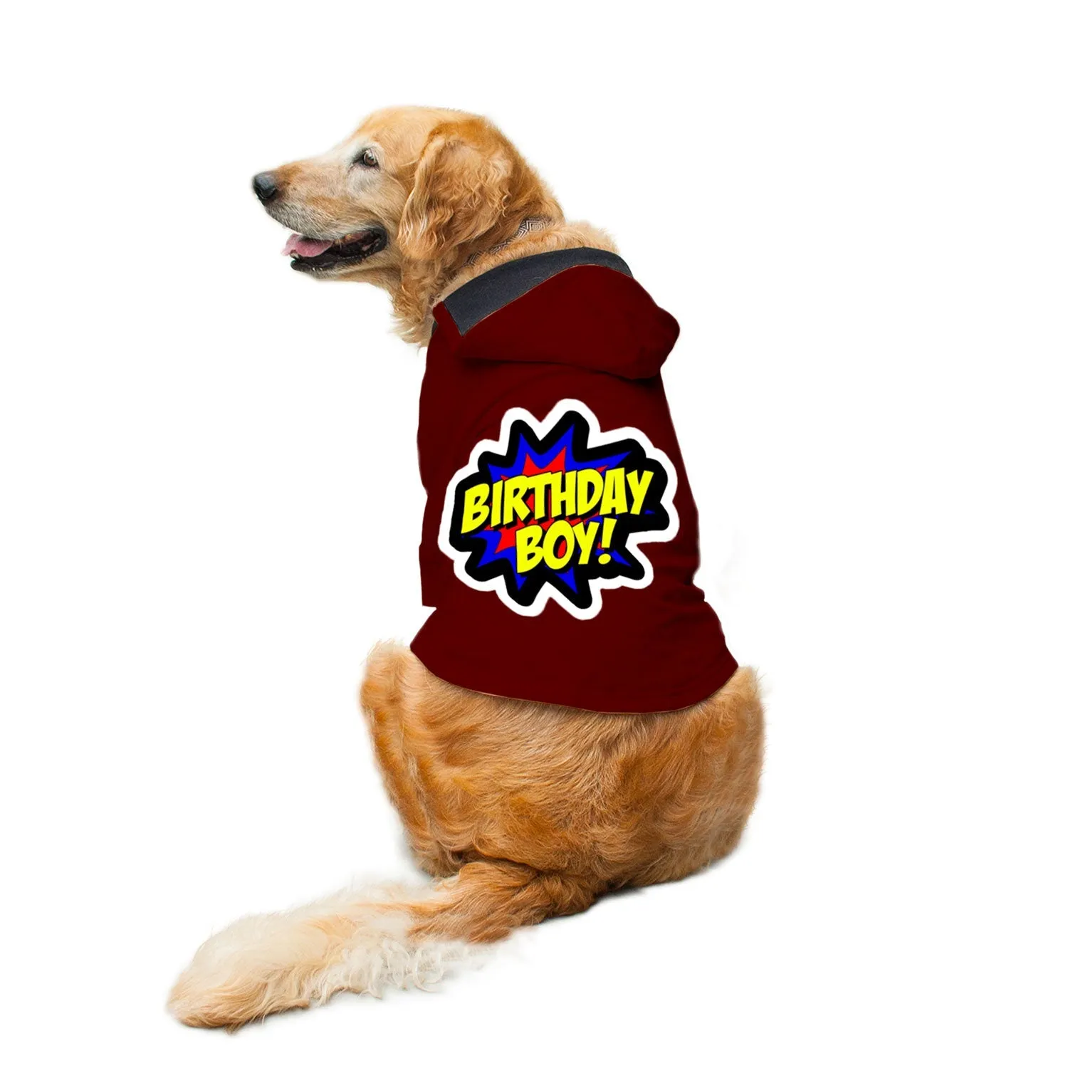 "Birthday Boy" Printed Dog Hoodie Jacket