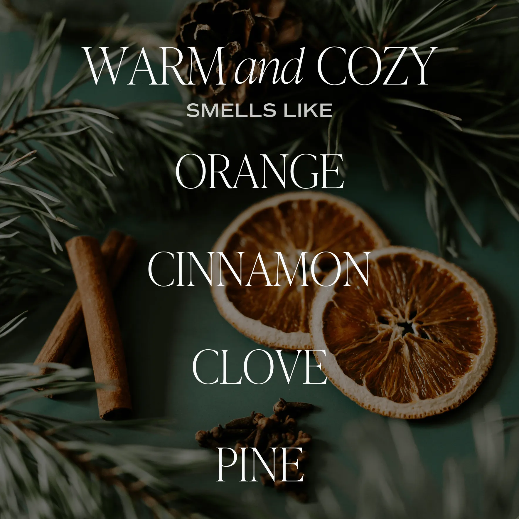 Warm and Cozy Amber Reed Diffuser